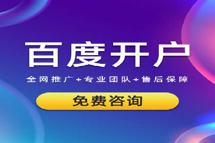 Sem优化公司案例：精准广告投放策略解析